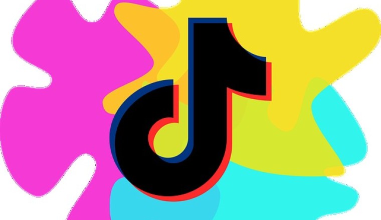 9 Tips to Build a Viral TikTok Channel Quickly | vusch.com